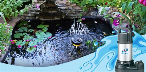 brand  pond pumps   choose epumpscom