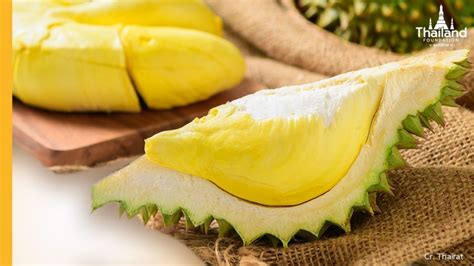 The Beginners Guide To Thai Durians Thailand Foundation