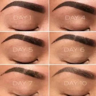 Ombre Brows Healing Process Day By Day Complete Guide