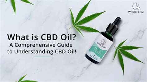 What Is Cannabidiol Cbd Oil Uses Benefits And More Wholeleaf