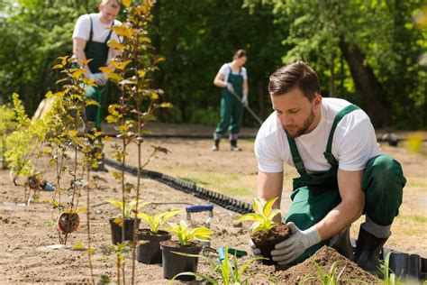 Am Nager Son Jardin Faut Il Faire Appel Un Jardinier Ou Un Paysagiste