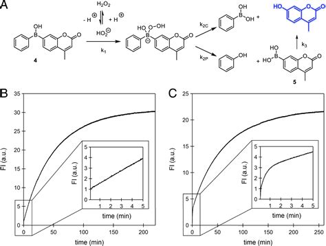 Evaluation Of Borinic Acids As New Fast Hydrogen Peroxideresponsive