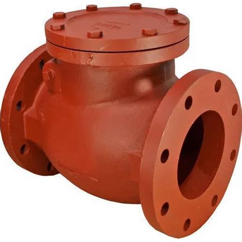 Cast Iron Check Valve At Rs 500 Cast Iron Valve In Coimbatore Id 13195468655