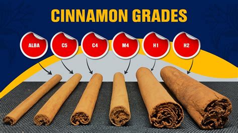 The Fascinating Journey Of Cinnamon Harvest To Spice Spice Unity