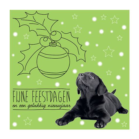 KNGF Kerstkaart Met Hond En Kerstbal Kaartje2go