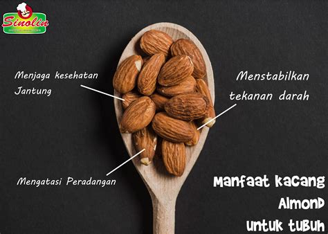 Manfaat Kacang Almond Untuk Tubuh Sinolin