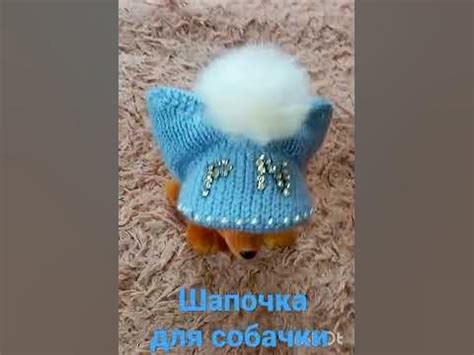 Вязаная шапочка для собачки. - YouTube