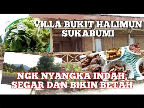 Bongkar Indahnya Villa Bukit Halimun Villa Terdekat Dari Pondok