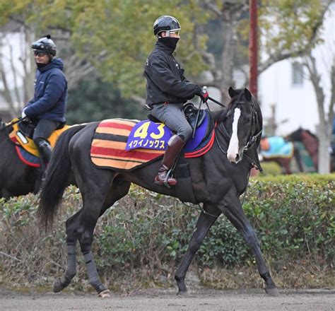 【有馬記念】秋の天皇賞馬イクイノックス G1連勝へ万全 素晴らしいシルエット競馬・レースデイリースポーツ Online