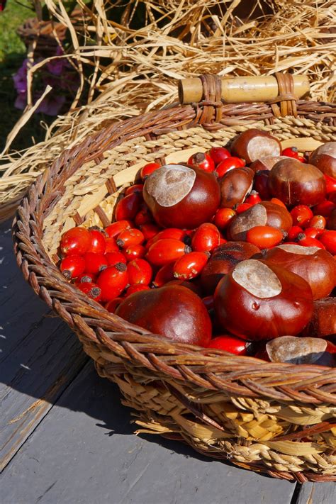 Kostenlose foto Frucht Lebensmittel rot produzieren Gemüse