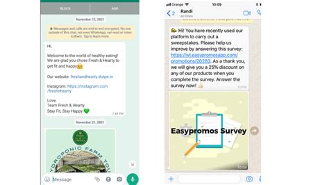 Whatsapp Marketing What It Is And Strategy For A Campaign