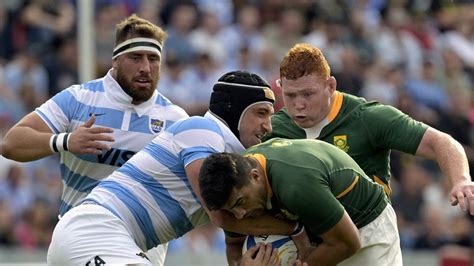 Another challenging week looms as Springboks look to seal Rugby ...