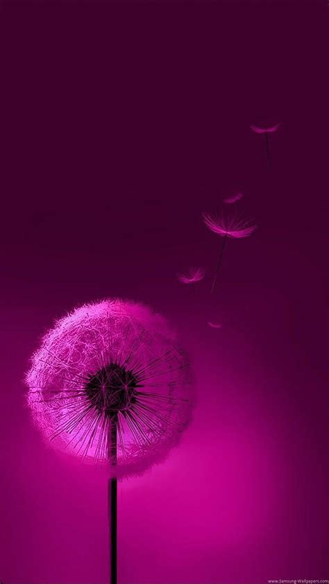 Samsung Galaxy Dandelion Wallpaper