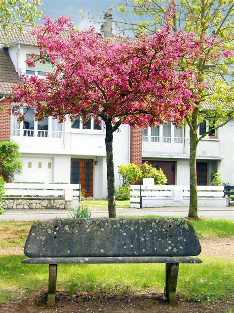 Banc des accusés Square Baheu Longueau F 80 xavnco2 Flickr