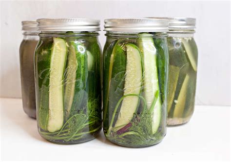 How To Ferment Pickles Recipes Net