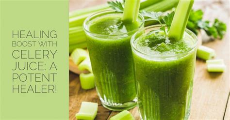 Healing Boost with Celery Juice: A Potent Healer! - Sandra Bloom