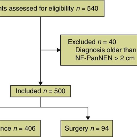 Study Flow Chart Nf Pannen Non Functioning Pancreatic Neuroendocrine