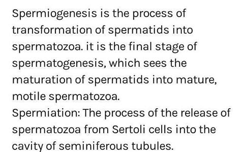 The Difference Between Spermiogenesis And Spermiation Isain