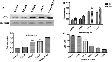 Cardiac glycosides stimulate cytosolic Ca² levels and decrease GSH