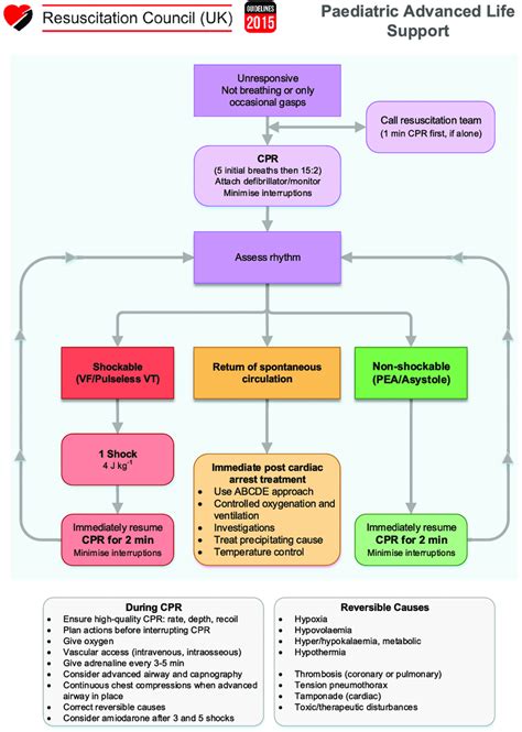 Pediatric Advanced Life Support Algorithms