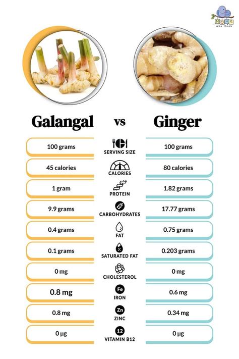 Galangal vs. Ginger: When to Cook with Each & Key Differences