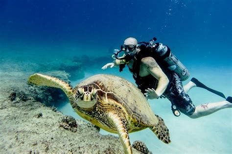 Tripadvisor Viagem marítima de dia inteiro snorkel na Ilha Tiran