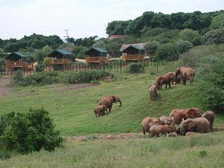 Addo Elephant Park, Addo