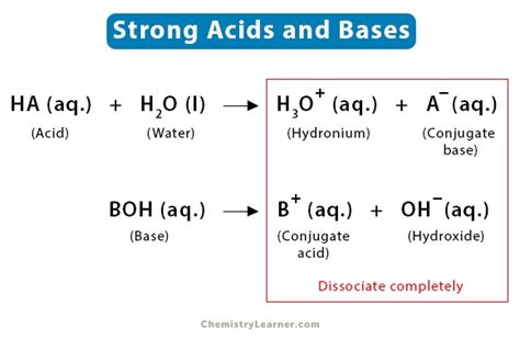 Learn All About The Strong Acids And Bases Praxilabs