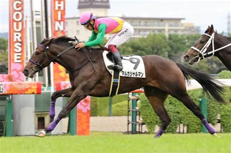 【阪神5r・2歳新馬】ノヴェリスト産駒マルカシャルマンがデビュー勝ち 小沢大仁騎手「伸びしろもある」 競馬ニュース