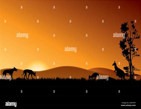 Silueta De Dingo Fotografías E Imágenes De Alta Resolución Alamy