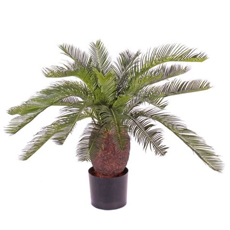 Acheter Des Palmier Cycas Artificiel Birka En Pot C Ramique Cm