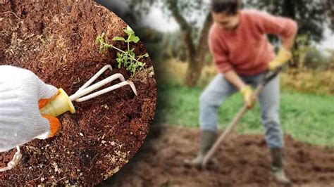 Aquí tienes algunas formas prácticas de airear la tierra de tu jardín