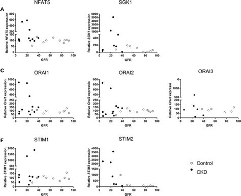 Correlation Between Gfr And Nfat Sgk Orai Stim Orai Transcript