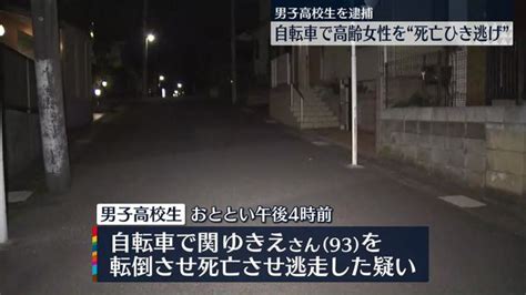 93歳女性を転倒、死亡させ逃走か自転車を運転の男子高校生を逮捕 千葉市 ライブドアニュース