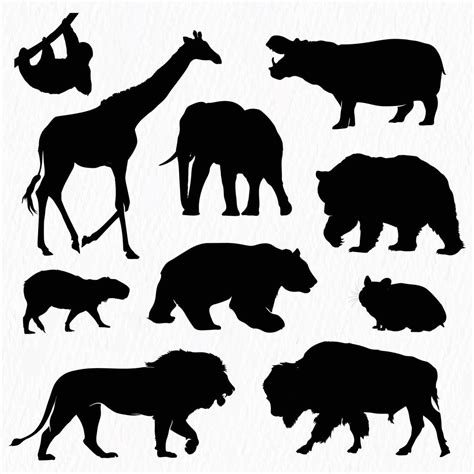 Vector african wild animals silhouettes set. wild animal shape shadow ...