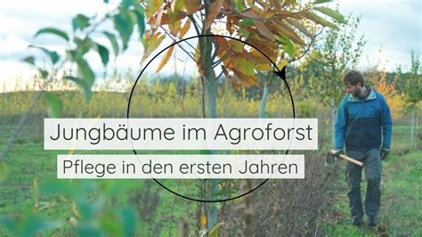 Wasserrückhalt in der Landbewirtschaftung Jungbaumpflege im Agroforst