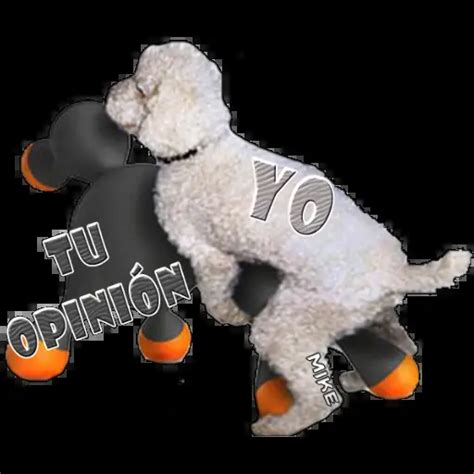 Perros Groseros Para Responder Stickers Para WhatsApp