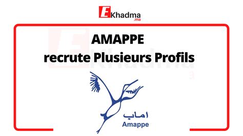 Amappe Recrute Plusieurs Profils Ekhadma