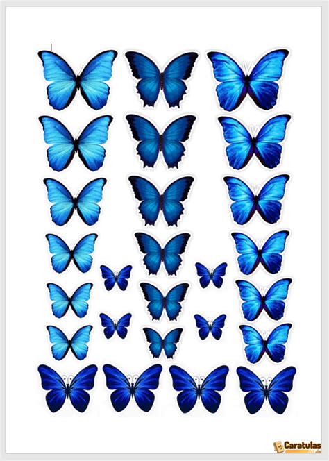 Plantillas Moldes De Mariposas Descarga Gratis