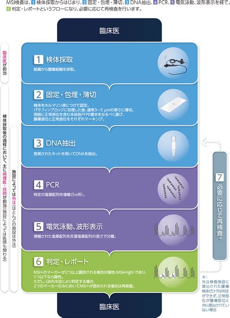 Msi検査 Mmr Ihc検査とは Msi検査 Msd Connect