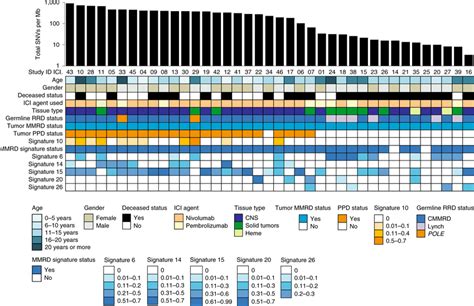 Onco Plot Summarising The Genomic Features From Available Paired