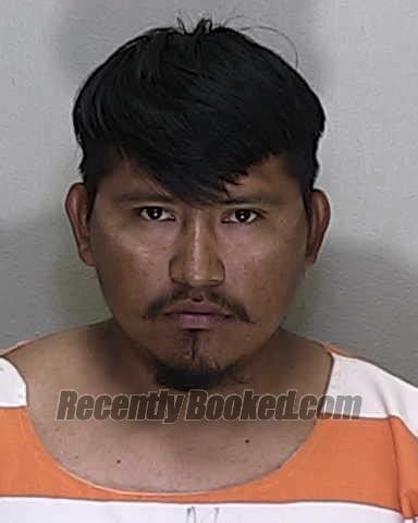 Recent Booking Mugshot For Andres Perez Meneses In Marion County Florida