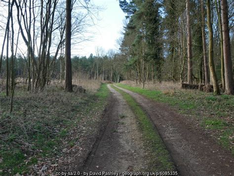 Looking Towards Lynford Road From Forest David Pashley Geograph