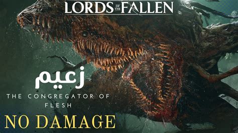 Lords Of The Fallen 2023 The Congregator Of Flesh Boss Fight No