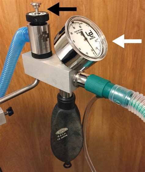 Veterinary Anesthesia Machine Rebreathing