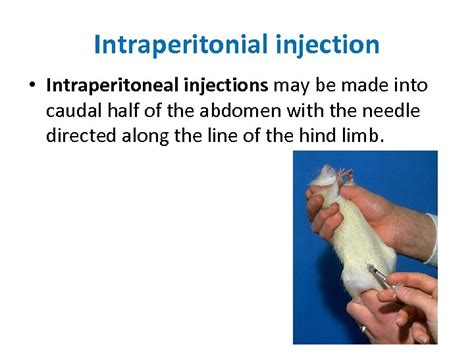 Lab No 1 Introduction To Experimental Pharmacology