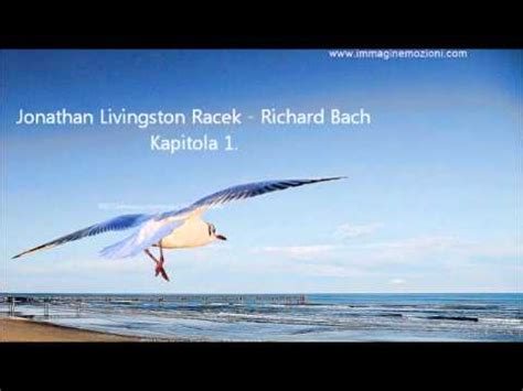 Jonathan Livingston Racek Richard Bach Kapitola 1 YouTube