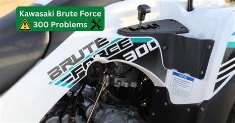 Kawasaki Brute Force 300 Problems With SOLUTIONS Off Road Official