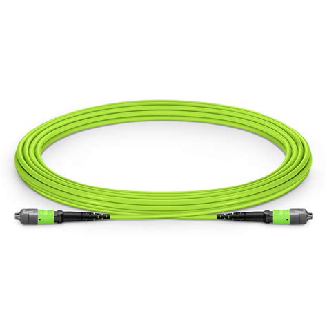 5m 16ft Mtp® Jumper Mtp® 12 Upc Female To Mtp® 12 Upc Female 12 Fibers Multimode Om5