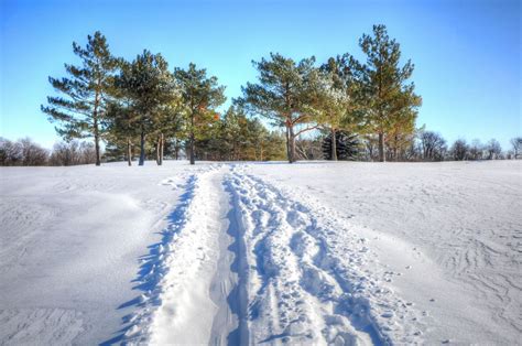 Fondos De Pantalla Campo Cubierto De Nieve Con Rboles Bajo Un Cielo